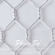 Cold Dipped Galvanized Hexagonal Wire Mesh